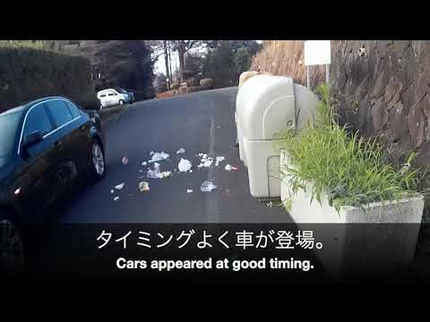 EDR July #15 2018 Unfamiliar People and Helicopter Sound