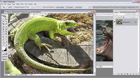Morphing Creatures using photoshop Part 2