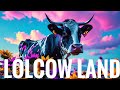 Lolcow land