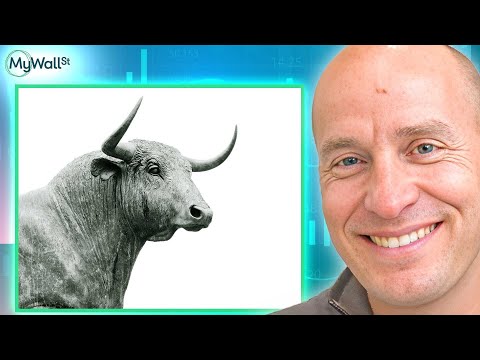 How to Pick WINNING Stocks | Brian Feroldi thumbnail