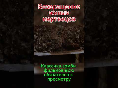 Зомби лезут из могил #ужасы80 #movie80 #horror80 #horrorstories