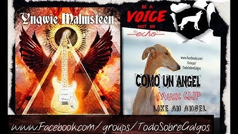 (Clip) Galgo "Cómo un Ángel" FT.Yngwie Malmsteen "Like An Angel" (Español/Inglés)