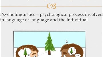 PSY 523 - Studying Language Part 1