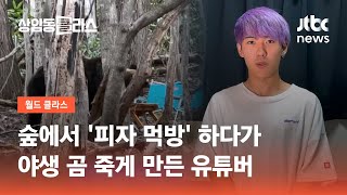 숲에서 '피자 먹방' 하다가…야생 곰 죽게 만든 유튜버 / JTBC 상암동 클라스