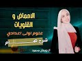 شرح الأحماض والقلويات علوم الصف الأول الإعدادي الترم الثاني 2025 
