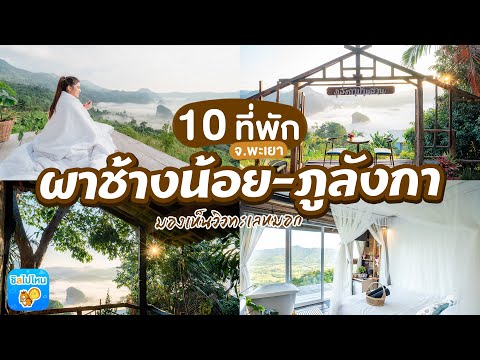 10 ที่พัก ผาช้างน้อย-ภูลังกา จ.พะเยา มองเห็นวิวทะเลหมอก