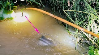 Cắm Câu Mồi Trùng Biên Giới Cambodiafishing in border areas