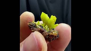 Video preview: Cup-Shaped Matcha-Green Pyromorphite — Guangxi, China | Natural Mineral Specimen