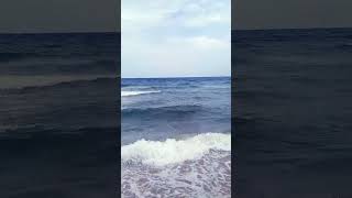 سكيكدة فلفلة😍🌊🇩🇿♥️Skikda Algeria