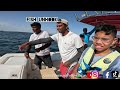 Dibba fishing tamil gulf fisherman enjoy