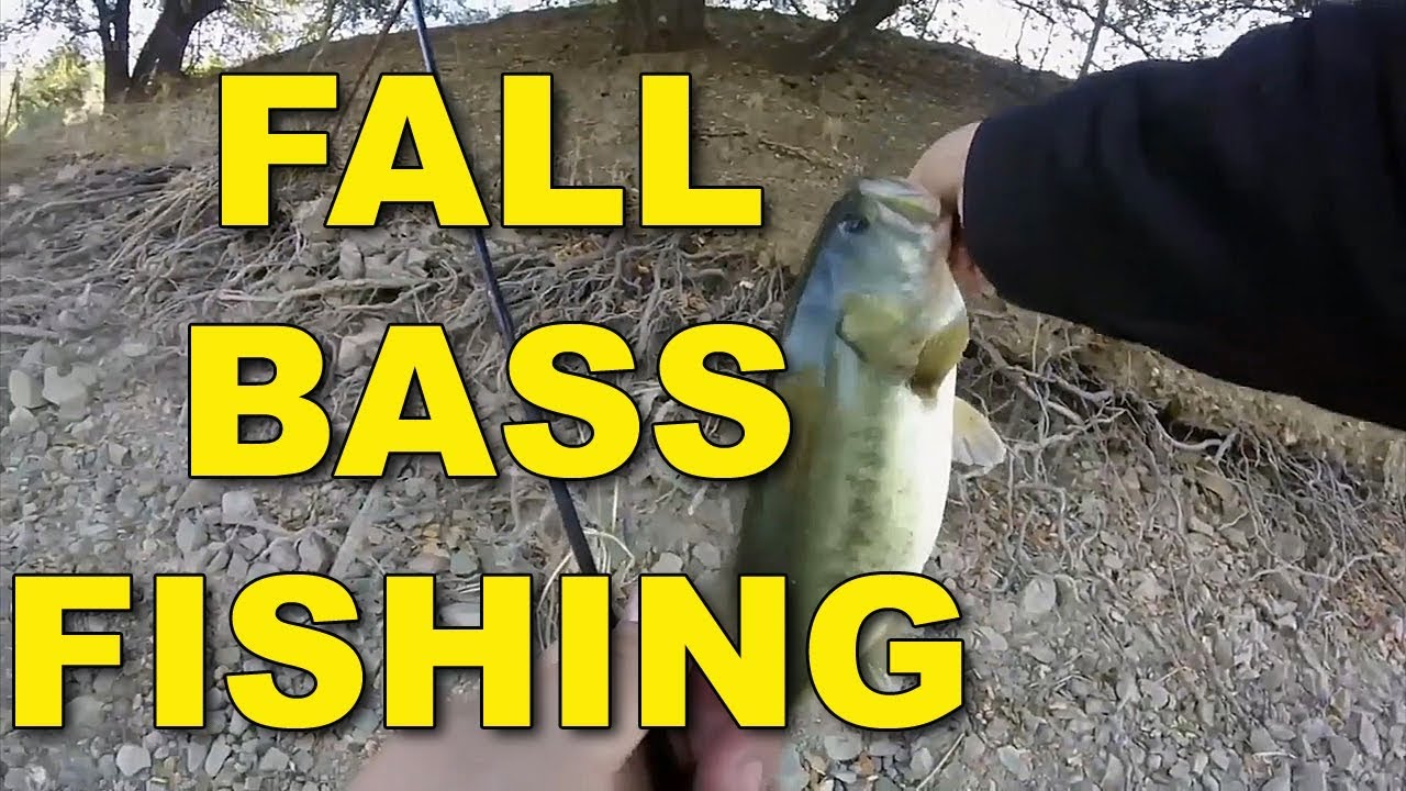 Fall Bass Fishing Tips and Techniques Proven To Work!