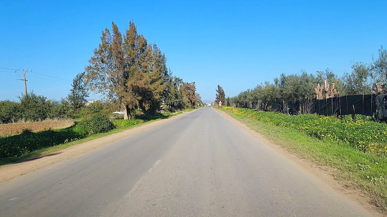 Annaba Algeria - car Driving 23/01/2026 #algeria #annaba