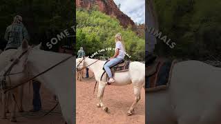 Summer Bucket List 2024 #bucketlist #adventure #fun