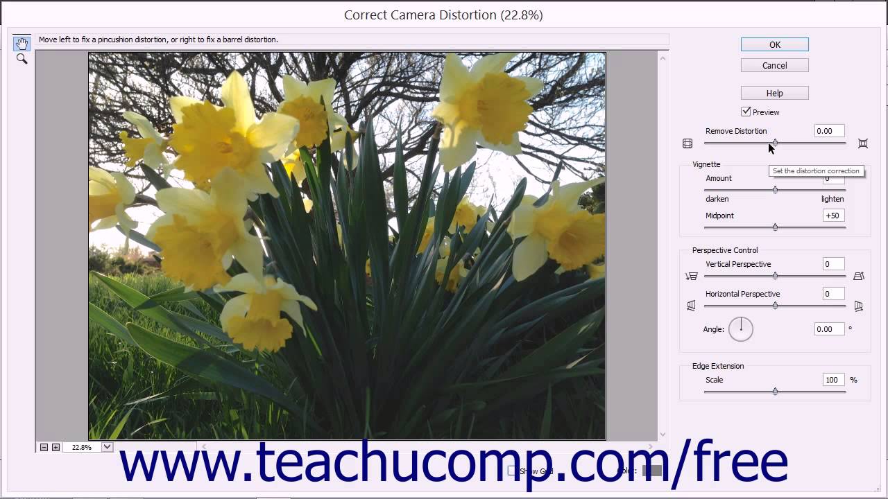Photoshop Elements 13 Tutorial Correcting Camera Distortions Adobe ...
