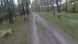 Man Gets Chased By Bear While Riding His Bike! GIANT bear chasing the mountain biker. Holy Sh*