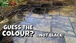 It Shouldn't Look This Way!.. Filthy BLACK Sandstone Patio Hot Pressure Washed And Driveway Restored