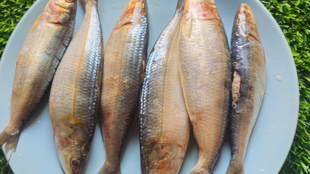 কলম্বো মাছ দিয়ে ফ্রোজেন করা মুলা আর আলুর রেসিপি। 