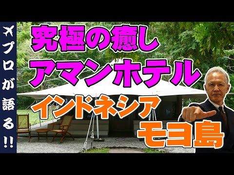 【アマンリゾート】ホテルのホスピタリティーが最上級のラグジュアリーホテル・アマンリゾート!インドネシア・モヨ島にあるアマンワナについて徹底解説!@871