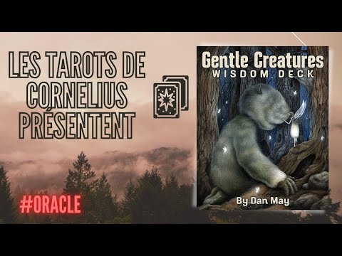 Gentle creatures wisdom deck vidéo