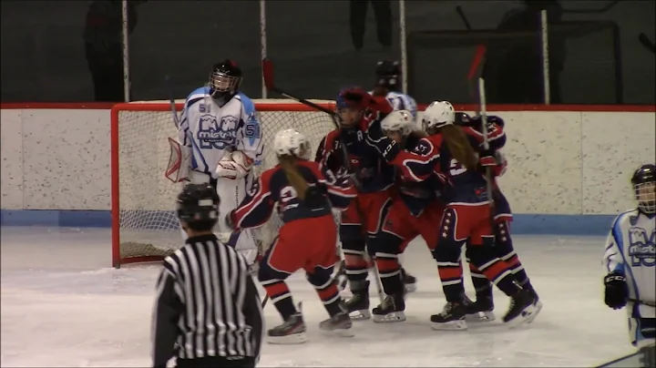 Hockey Feminin - Alyson Hill #47 Pw AA 2017-18
