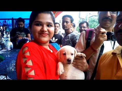 puppy paradise Beautiful Girl Trisha Gets Her First Puppy JACK On Her Birthday
