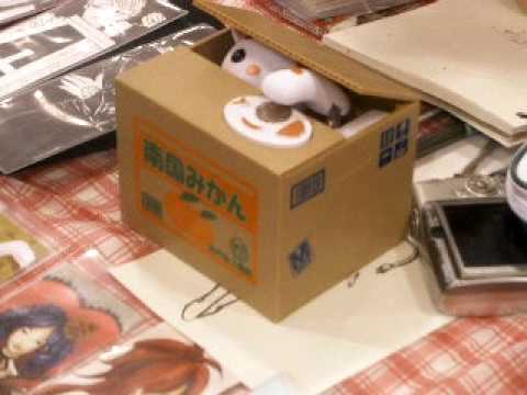 automatic cat coin taker