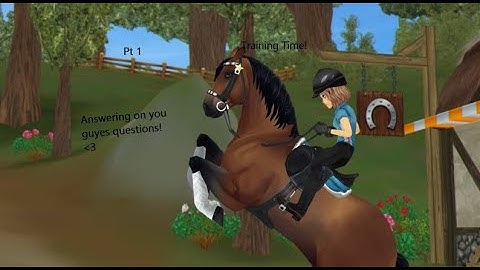 Training time! Answering your questions! ( Part 1 )