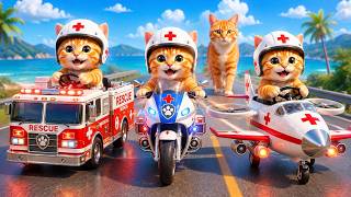 Live 🔴Mama Cat And Kitten ✨Funny Cat | Kucing 🌻 Cat Videos 😿 Cute Cat | Meow Meow screenshot 4