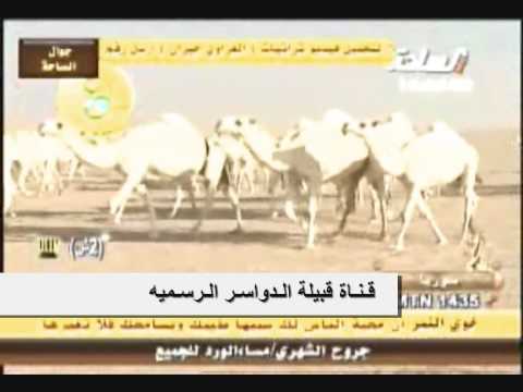 شيلة مزاين أم رقيبه للشاعر هادي الرزقي