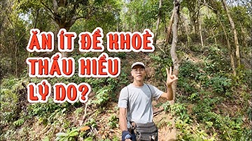 #27 ĂN ÍT ĐỂ KHOẺ MẠNH THẤU HIỂU LỢI ÍCH CỦA VIỆC ĂN ÍT