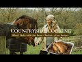 How to Use Every Part of a Roast Chicken (4 Rustic Recipes)