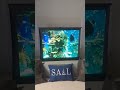 Onsite demonstration of our ILEG ULTIMATE APEX GAMER  32oz  $178 screen size 150"