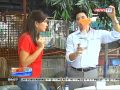 News to go   solar bulbs light up laguna community   youtube