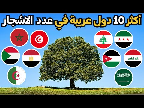 من هي اكثر دولة عربية من حيث التشجير ترتيب حصري لاكثر 10 دول عربية من حيث عدد الاشجار لعام 2025