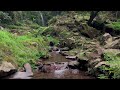 Mountain River Water Flowing 24/7. Water Sounds, Nature White Noise. River Sounds for Sleeping.