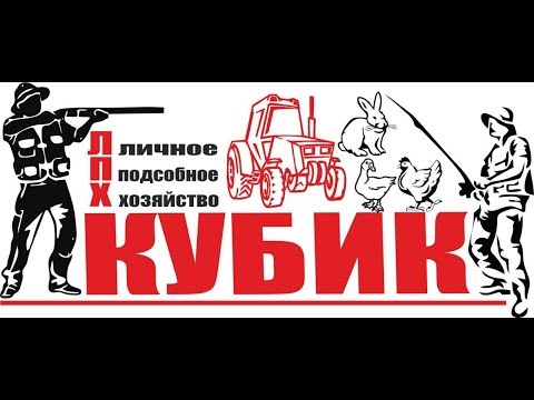 Прямая трансляция своими руками Прямая трансляция своими руками