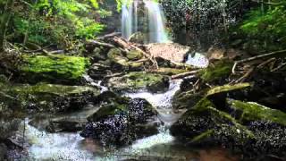 سورة القلم محمد صديق المنشاوي تجويد