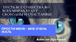 САМОСОЗНАНИЕ.  ПУСТЬ ВСЕ СУЩЕСТВА ВО ВСЕХ МИРАХ БУДУТ СВОБОДНЫ И СЧАСТЛИВЫ. ПРОСТИ МЕНЯ - МНЕ ЖАЛЬ.