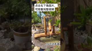 DIY garden pond 自己动手建个花园小水塘 #rosegarden #gardening #pond#water function