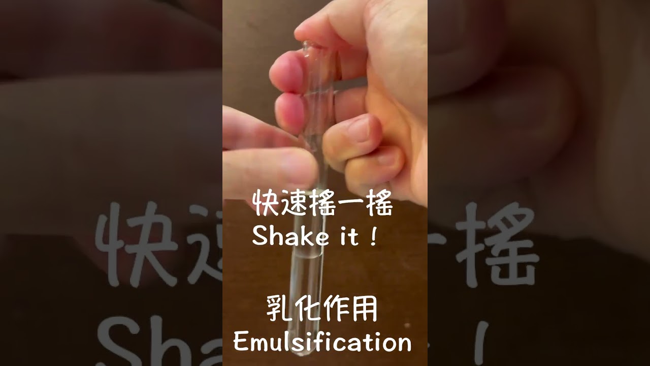 乳化作用 #膽汁 #乳化脂質 #國一生物 #Emulsification 縮圖