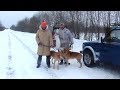 Охота зимой на зайца с  русскими гончими.