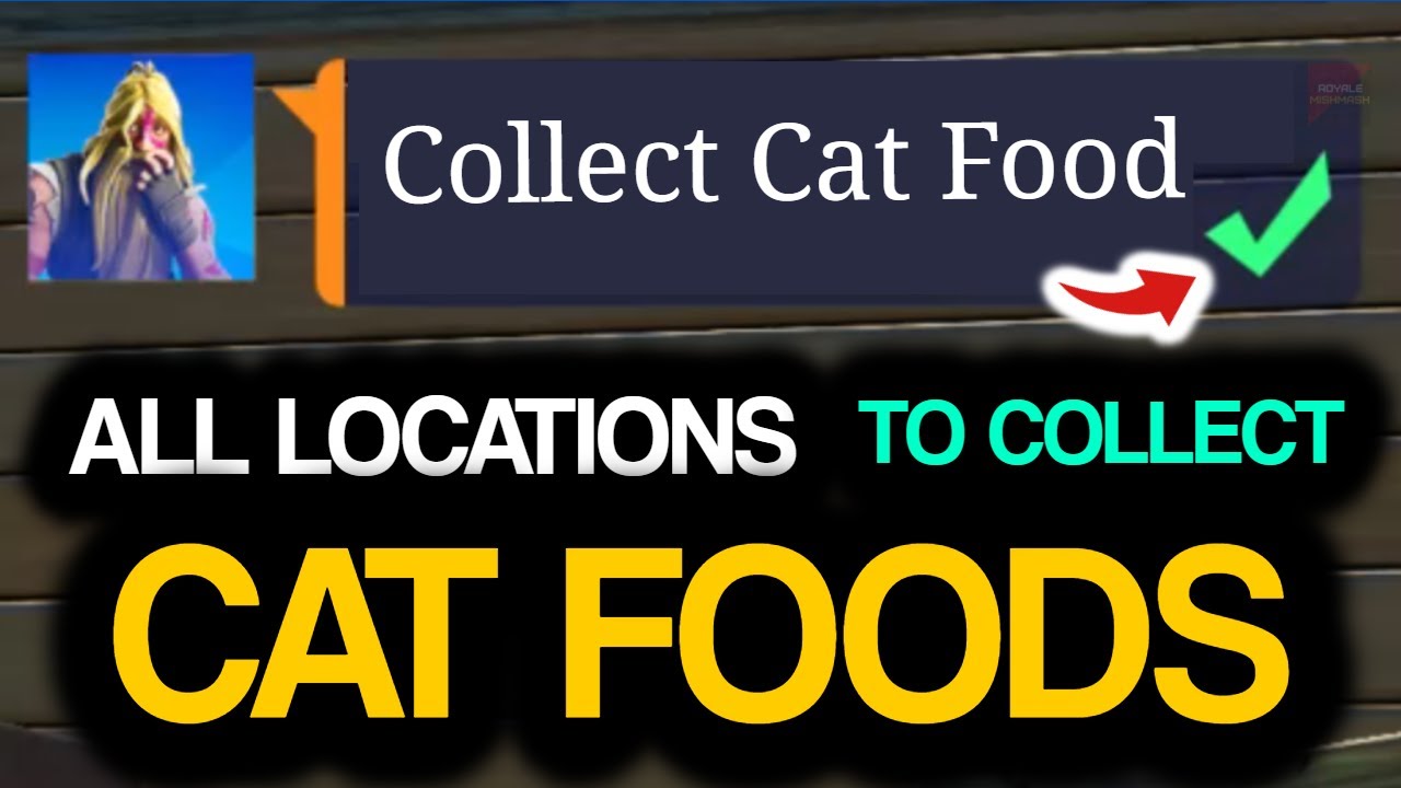 All Collect CAT FOOD Locations in Fortnite! How to COLLECT CAT FOOD in