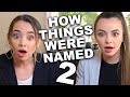 How Things Were Named 2 - Merrell Twins