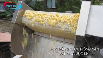 MÁY RỬA RAU CỦ NÔNG SẢN BĂNG TẢI SỤC KHÍ