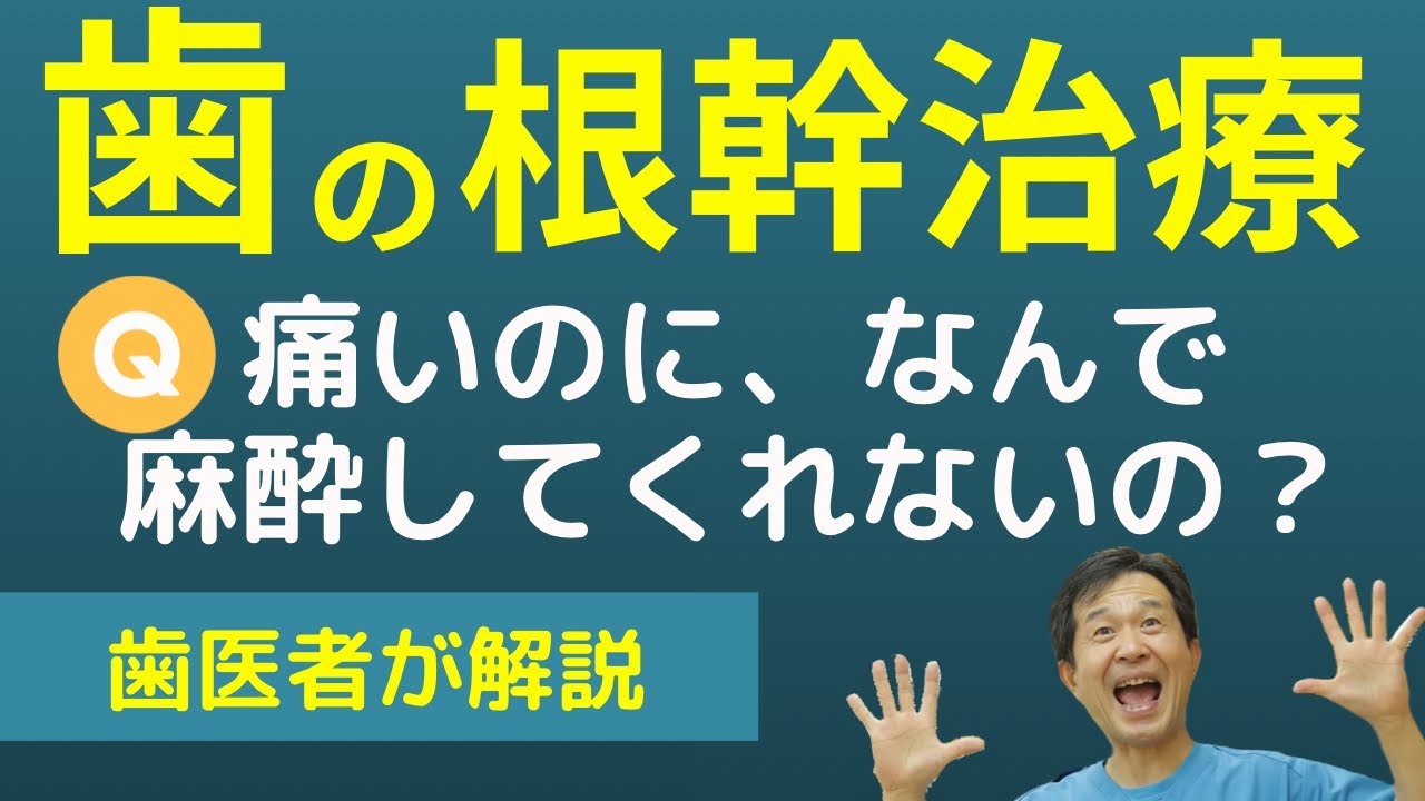 【歯の根管治療】痛いのに麻酔してくれない本当の理由‼︎  歯医者が解説