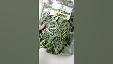 Đặt hàng Rau cải xoăn Kale xanh Đà Lạt tươi để thêm đa dạng cho bữa ăn #xuhuong #healthy #review