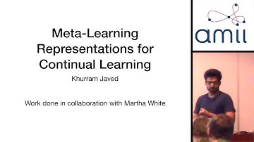 The Tea Time Talks: Khurram Javed, Meta-Learning Representations for Continual Learning (June 17)