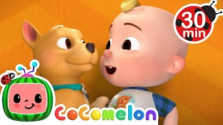 The BINGO Song! | Learn Animals for Kids | Best Friends | CoComelon Kids songs & Nursery Rhymes