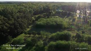 Bosques de Ezeiza - Buenos Aires's Provincia - Argentina - January 23, 2022 - 18:50