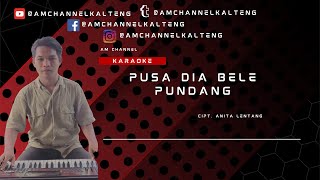 Download lagu KARAOKE PUSA DIA BELE PUNDANG NADA CEWE CIPT. ANITA LENTANG - REMIX DAYAK KALTENG